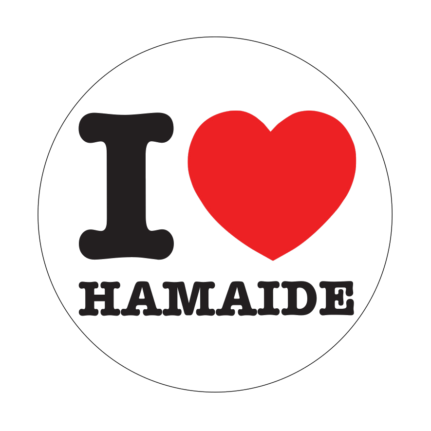 logo I love Hamaïde school
